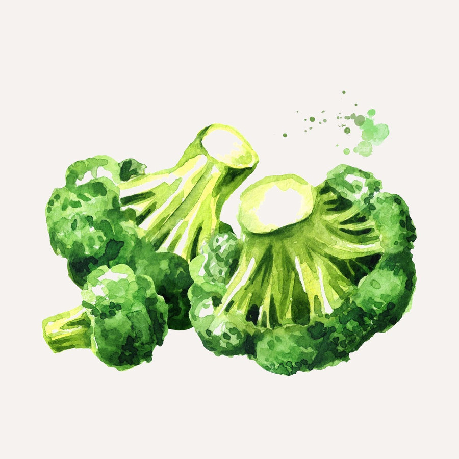 Huile de graines de brocoli bio