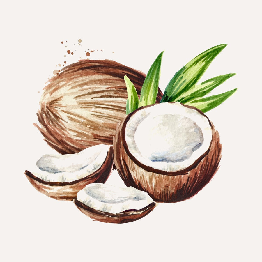 Huile de coco bio