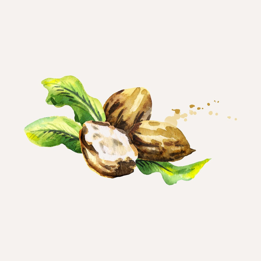 Beurre de karité bio