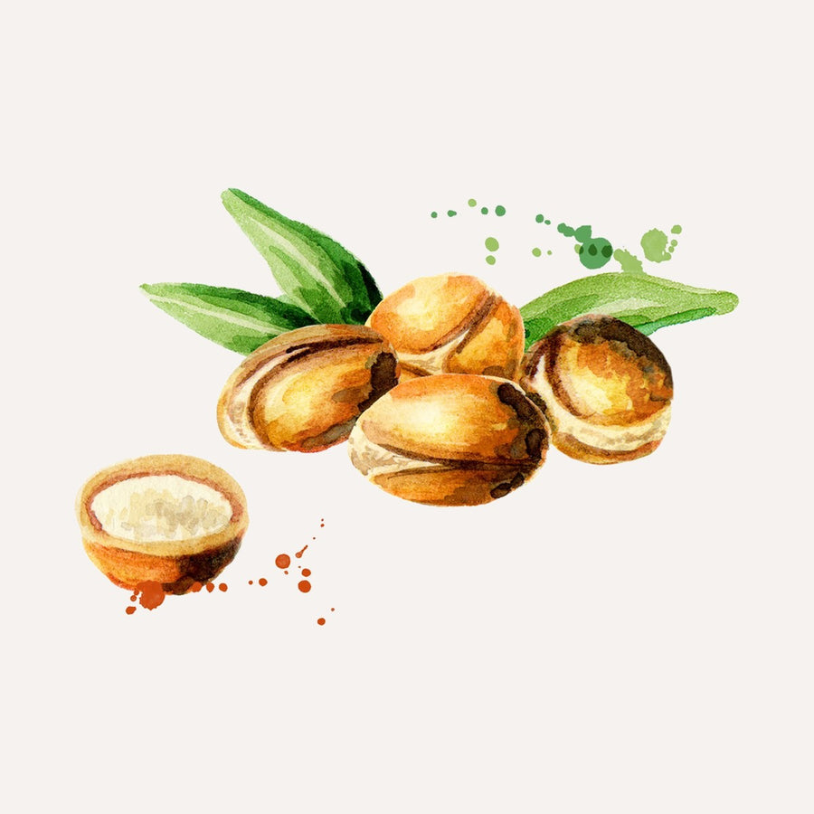 Bio-Arganöl